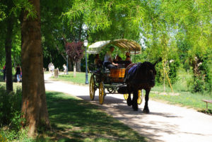 Balade en calèche