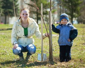 1 bébé né en 2020 = 1 arbre planté !