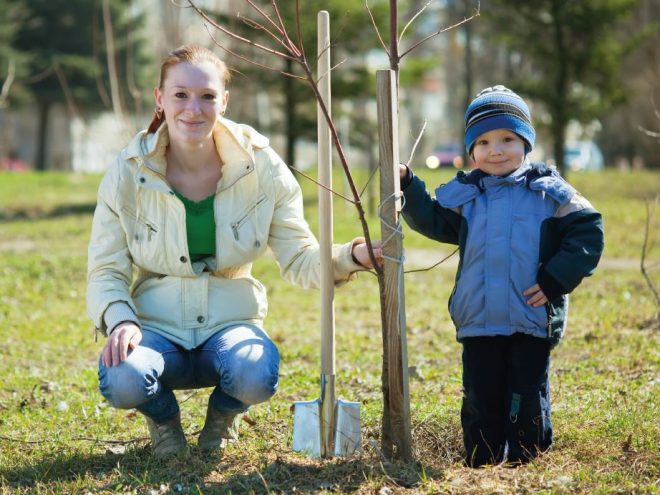 1 bébé né en 2020 = 1 arbre planté !