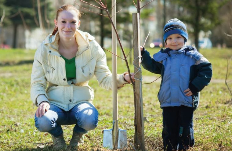 1 bébé né en 2020 = 1 arbre planté !