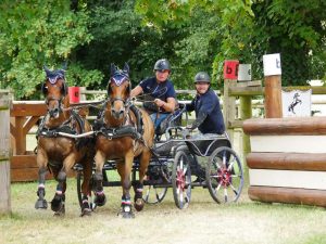 Championnat Attelage Poneys - Le Pin au Haras