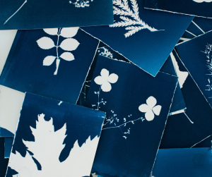 cyanotype