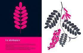 images (2)