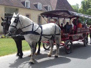 Balade gourmande au Haras du Pin