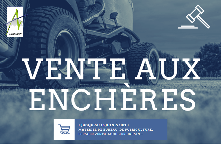 Vente aux enchères