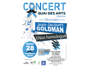 Concert Jean-Jacques Goldman