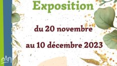 Atelier Stéphanie Weill Novembre - 1