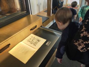 a_petits_pas_vers_les_formes_et_les_couleurs_ftp_2023 (40)