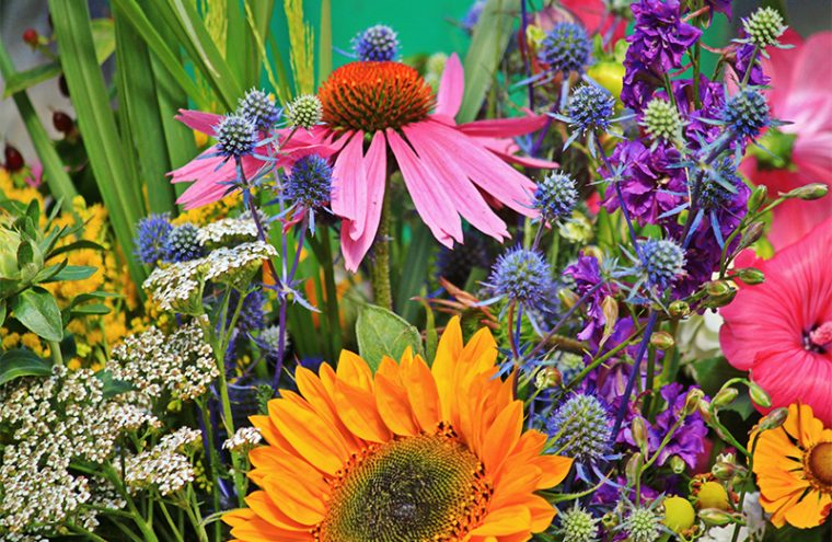 Bourse aux plantes