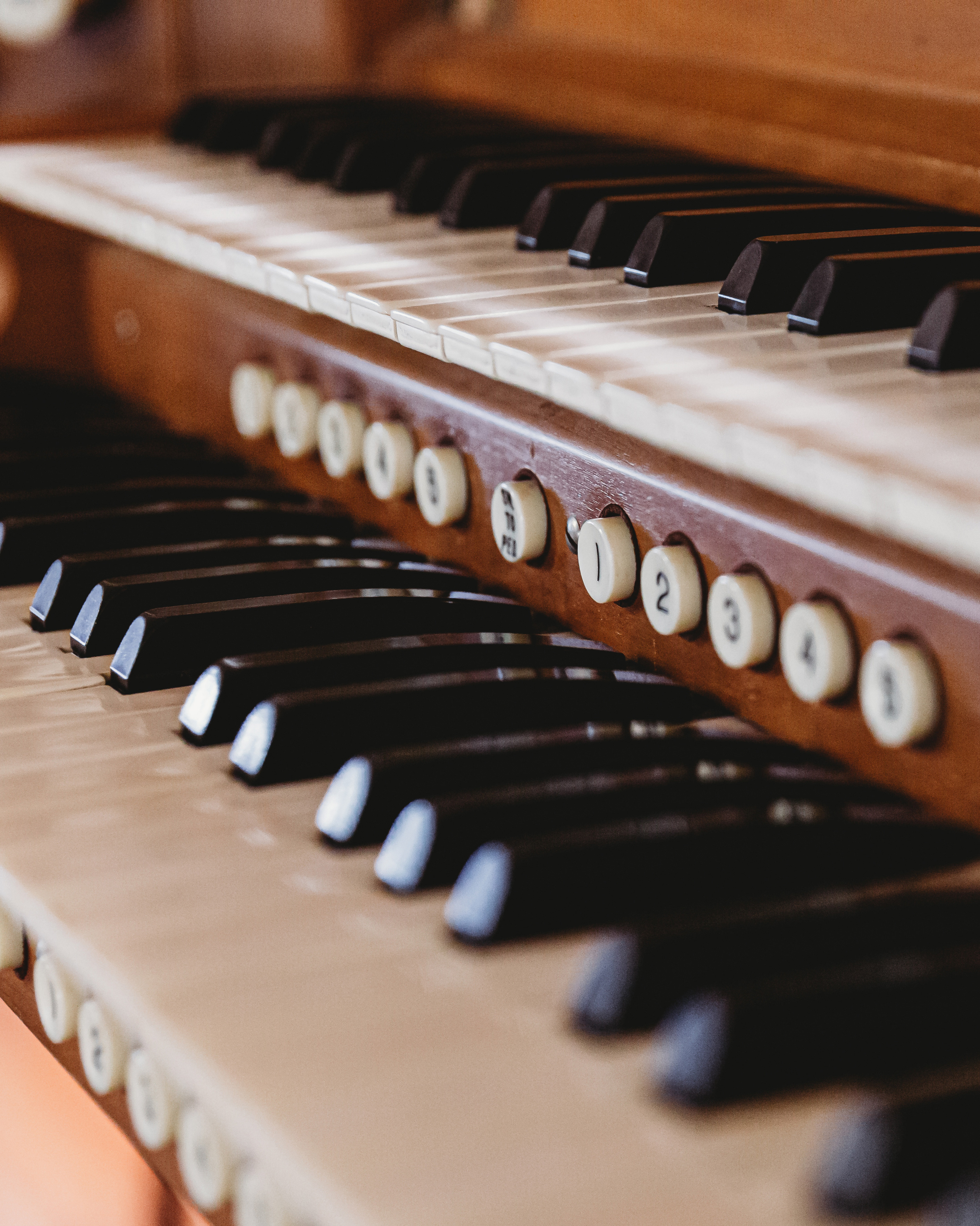Festival d'orgue