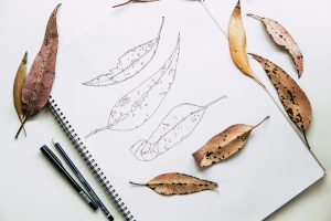 Feuilles et dessins