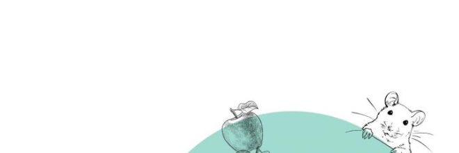 Les contes de la Bribotte