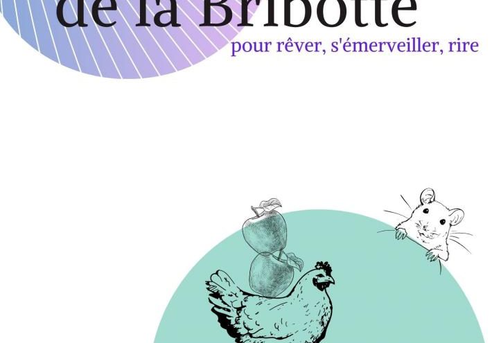 Les contes de la Bribotte