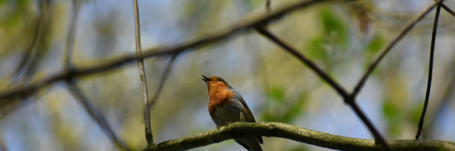 Copie de Copie de Sans titre - 1