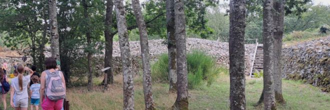 Visite guidée Camp celtique 800x600