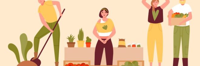 Marché bio à Argentan