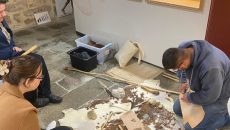 Visite-démo Musée de la préhistoire 800x600