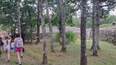 Visite guidée Camp celtique 800x600