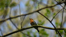 Copie de Copie de Sans titre - 1