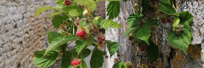 Entre eaux et terre à Ecouché