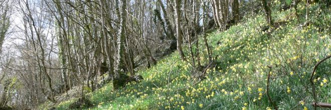 Méandres_camp de la Courbe