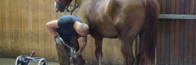 Visite de la maréchalerie - Haras du Pin
