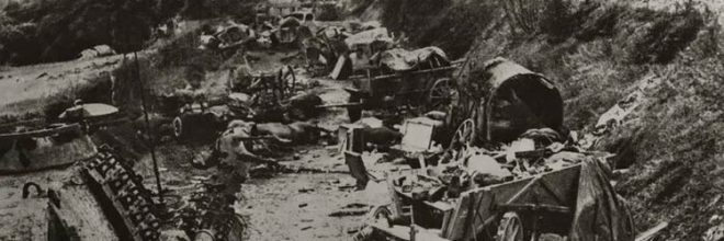 Visite guidée - La Poche de Falaise-Chambois