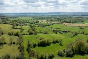 Visite guidée - Les Polonais