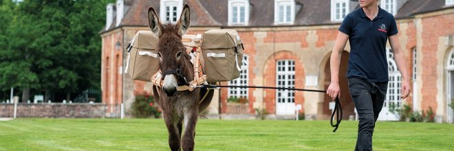 unknown_64c268baa57cd