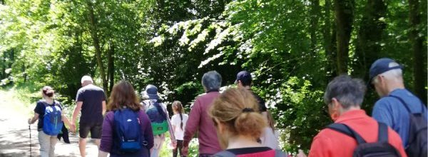 Copie de visiteparhasard_ecouche - 1