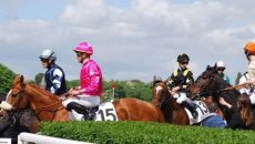 Courses hippiques - Haras national du Pin