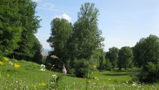 Vallon_Sainte Eugénie