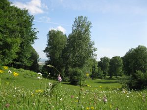 Vallon_Sainte Eugénie