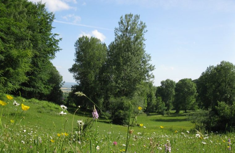 Vallon_Sainte Eugénie